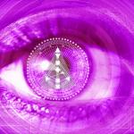 IHDS Professional | Stufe 1