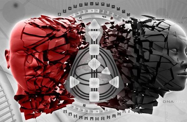 Das Differentiation Degree Program