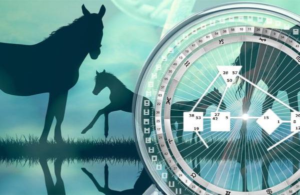 Tier Rave Reading (Säugetier)