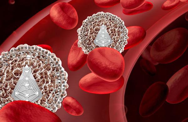 Das Immunsystem im Human Design