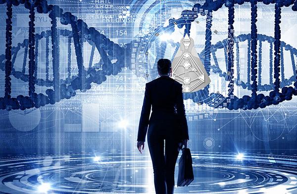 Success Code - Erfolg durch Human Design