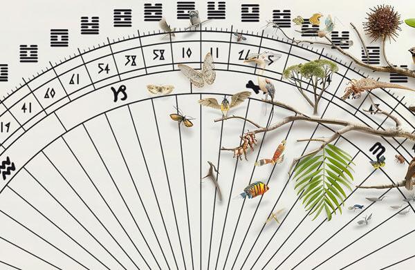 ONLINE Vorträge | Die Architektur des Lebens